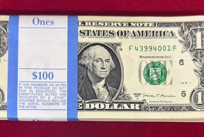 US $1 Dollar Notes Bundle ($100 Pack)