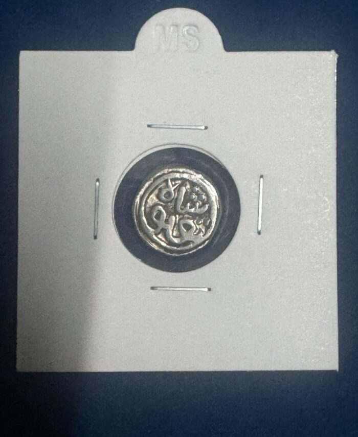 Ahmedabad Mint Gujarat sultan
